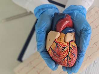 Aneurisma da aorta costuma não causar sintomas, mas pode evoluir para quadros graves sem acompanhamento médico