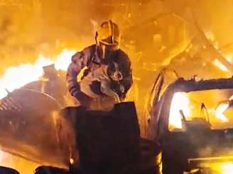 A cadela foi encontrada dentro de um banheiro