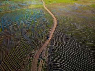 A federação destaca que o Rio Grande do Sul se encontra em meio à colheita da safra de verão, em especial das lavouras de arroz (foto) e soja