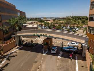 Anvisa reforça que, no Brasil, produtos feitos a partir da Moringa oleifera são proibidos desde 2019.