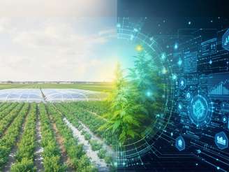 China E Agricultura