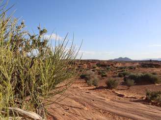 Deserto