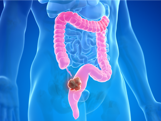 Ilustração 3d do intestino