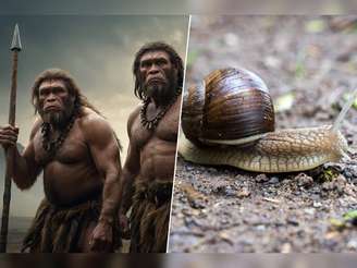 Imagem 1200x900 Neandertais Caracol