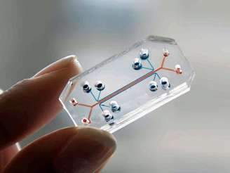 Imagem 1200x900 Recorte Chip