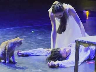 Gato invade palco durante apresentação de balé e rouba a cena