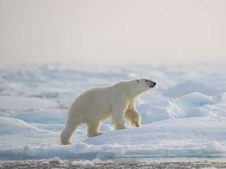 Svalbard
