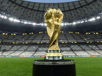 taça Copa do Mundo (Foto: Divulgação/FIFA)