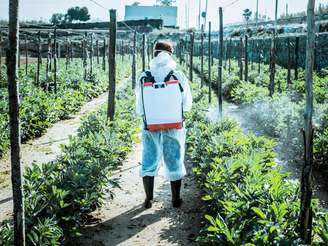 Mesmo pesticidas considerados “seguros” podem aumentar risco de câncer