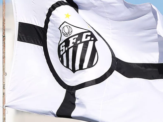 Bandeira do Santos (Foto: Pedro Ernesto Guerra Azevedo/Santos FC)