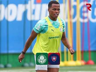 Foto: Cesar Greco / Palmeiras