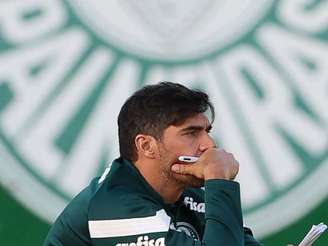 Foto: Cesar Greco/ Palmeiras