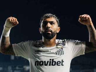Foto: Raul Baretta/ Santos