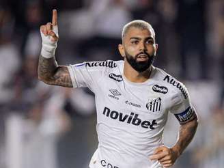 Foto: Raul Baretta/ Santos