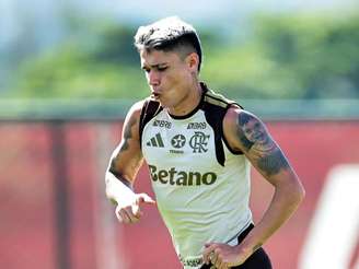 Fotos: Gilvan de Souza/ Flamengo