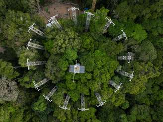 O AmazonFACE utiliza estruturas instaladas entre as árvores para aumentar artificialmente a concentração de dióxido de carbono (CO₂) em determinadas parcelas da floresta e observar como o ecossistema reage