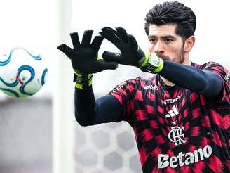 Foto: Gilvan de Souza/ Flamengo