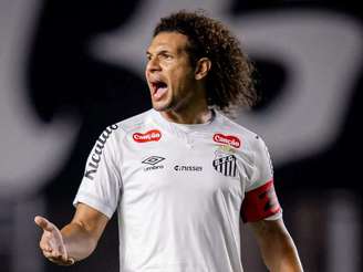 Foto: Raul Baretta/ Santos