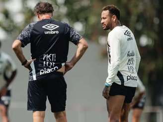 Foto: Raul Baretta / Santos FC