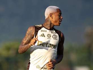 Foto: Gilvan de Souza/ Flamengo