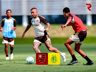 Fotos: Gilvan de Souza/Flamengo