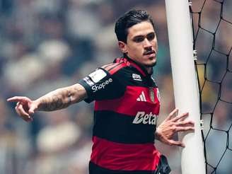 Foto: Gilvan de Souza/ Flamengo