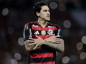 Foto: Gilvan de Souza/ Flamengo