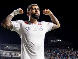 Foto: Raul Baretta/ Santos