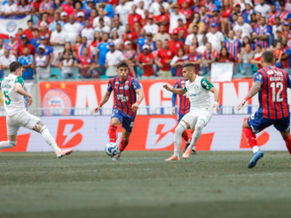 Bahia x Palmeiras (Foto: Fotos: Rafael Rodrigues/EC Bahia)