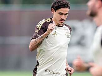 Foto: Gilvan de Souza/ Flamengo