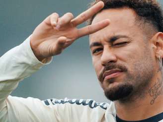 Foto: Raul Baretta/ Santos