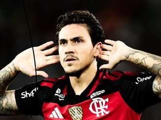 Foto: Gilvan de Souza/ Flamengo