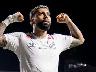 Foto: Raul Baretta/ Santos