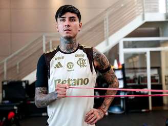 Foto: Gilvan de Souza/ Flamengo