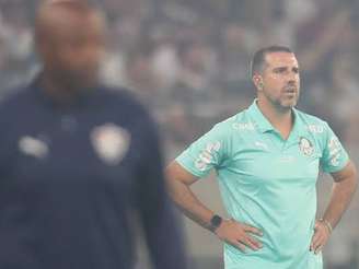 Foto: Cesar Greco/ Palmeiras