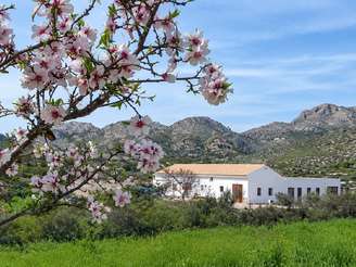 Alicante