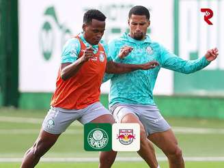 Foto: Cesar Greco / Palmeiras