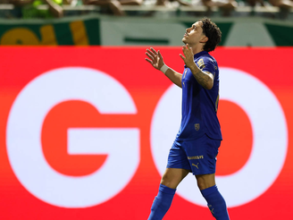 Foto: X / Palmeiras