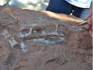 Fóssil de dinossauro fica exposto em rocha no município de Agudo, no Rio Grande do Sul. Segundo o professor Sérgio Dias da Silva, os fósseis são os mais completos já encontrados no Brasil