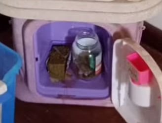 Casal é preso com droga escondida em casinha de boneca da filha de 9 anos, no RS