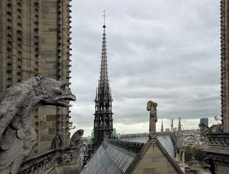 Essas figuras grotescas, dispostas ao longo das torres e do telhado da catedral, servem como elementos decorativos e funcionais, ajudando a desviar a água das pesadas chuvas que caem sobre a cidade.