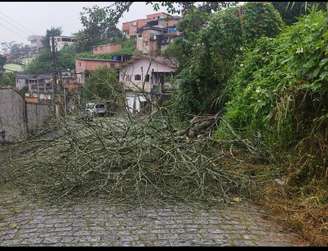 Rio Grande da Serra registra queda de árvores em vias públicas.
