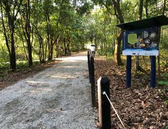 Reserva Ecológica de Guapiaçu, no Estado do Rio, oferece tour virtual