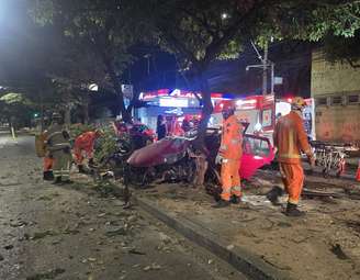 O veículo se chocou contra uma árvore e ficou com a parte frontal destruída