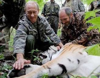 Tigre foi libertado pelo presidente russo e pode ter chegado à China