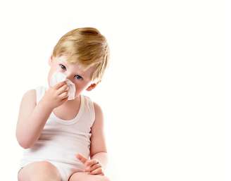Ventilação e limpeza são os dois maiores aliados contra reações alérgicas respiratórias 