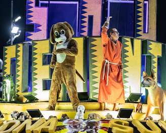 Além de serem homenageados na avenida, os pets terão vez em blocos de rua no Rio