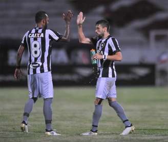 Discretamente, o Botafogo chegou ao quinto lugar do Campeonato Brasileiro (foto: Aldo Carneiro)