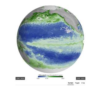 Imagem de satélite mostra a concentração de clorofila no Pacífico em junho de 2025, quando as condições do El Niño ainda eram neutras