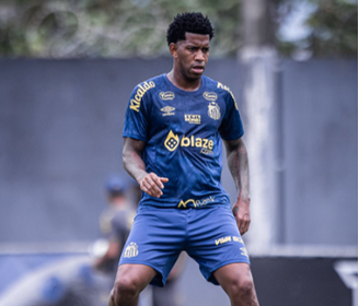 (Fotos: Raul Baretta/ Santos FC)